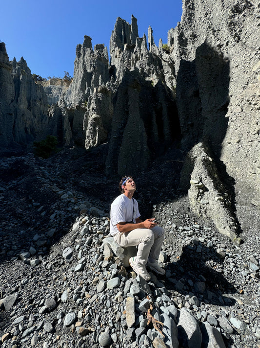 Day 15: The Pinnacles, Sheep Roadblock, & Black Beaches